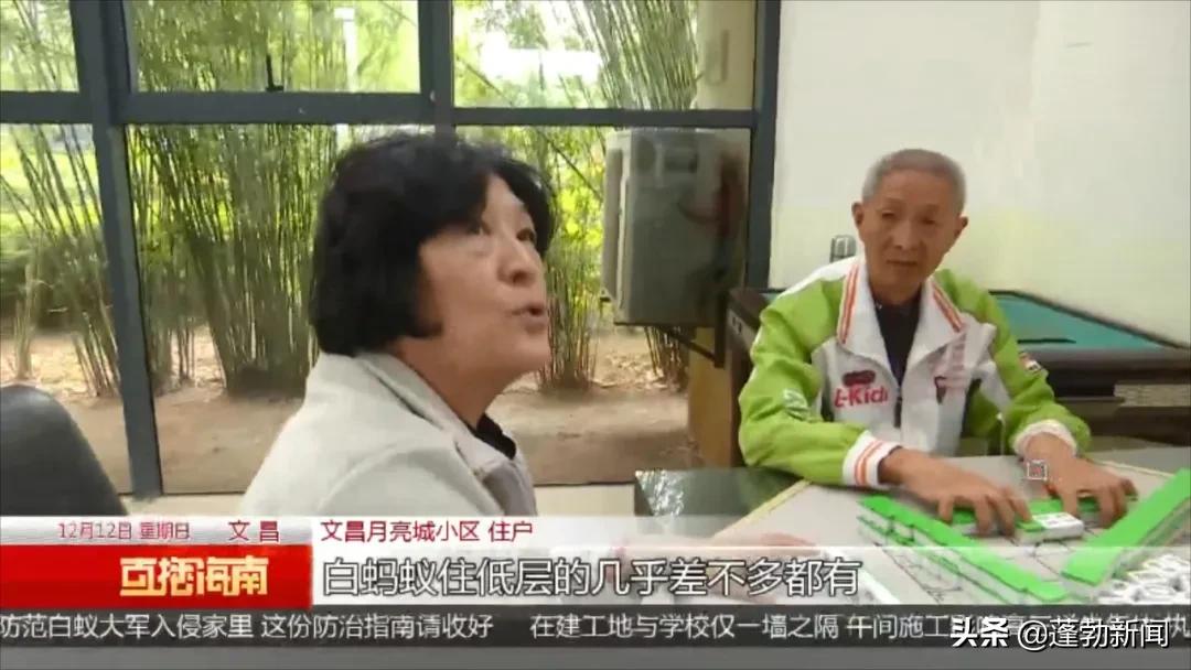 大量白蚁在家中筑巢啃噬家具，令人头皮发麻！如何防范看这里→