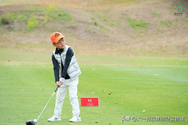 太一控股集团,太一集团与太一控股集团