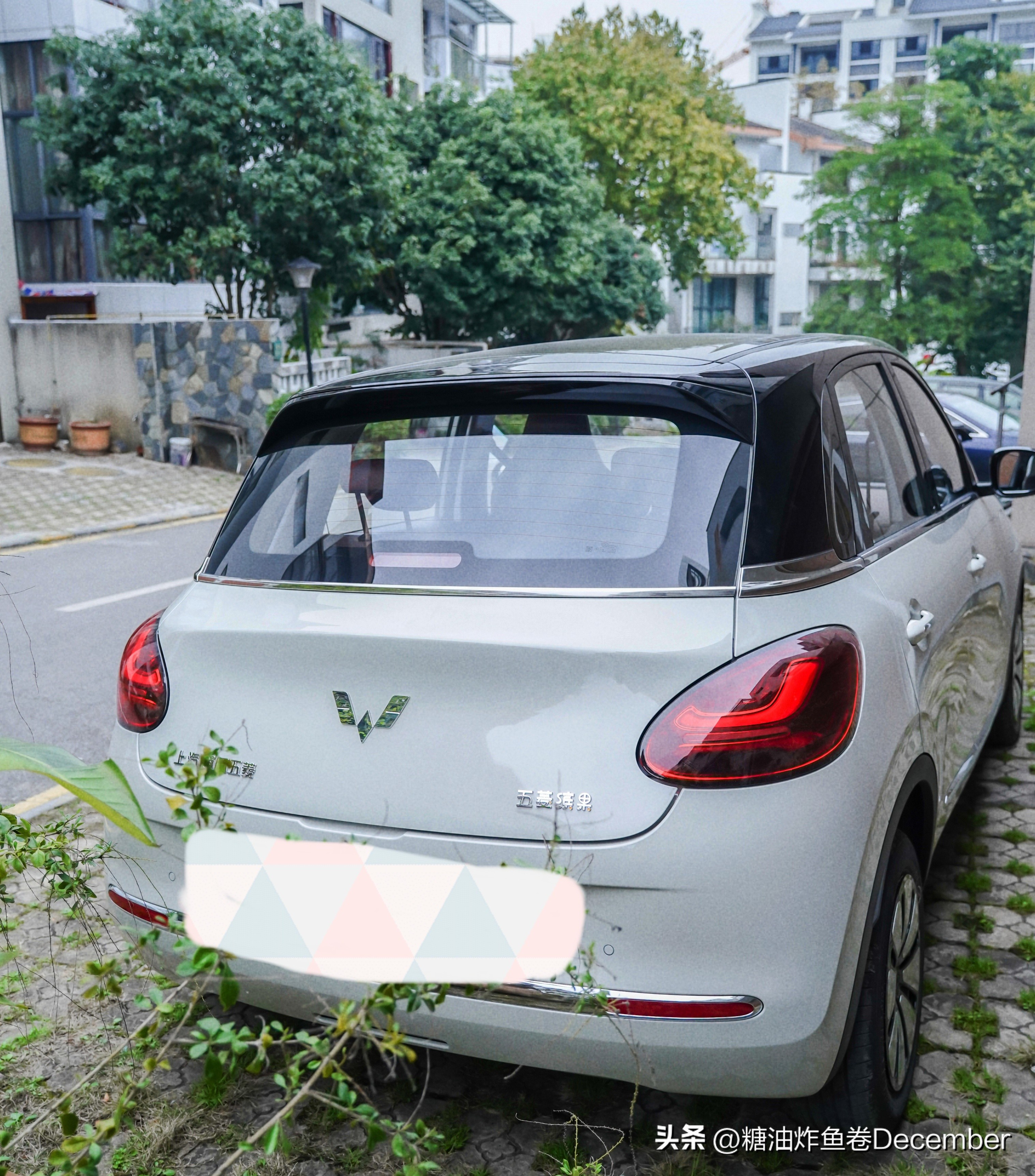 扶绥龙谷湾恐龙公园游玩攻略,扶绥龙谷湾恐龙公园在哪里