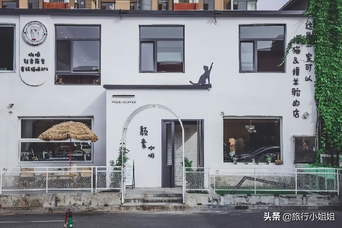 夏日海边微醺氛围感,滨城风光秀丽浪漫气息爆表