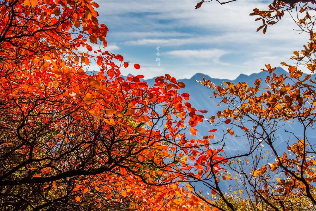 西安市少华山旅游景点,西安少华山一日游最佳攻略