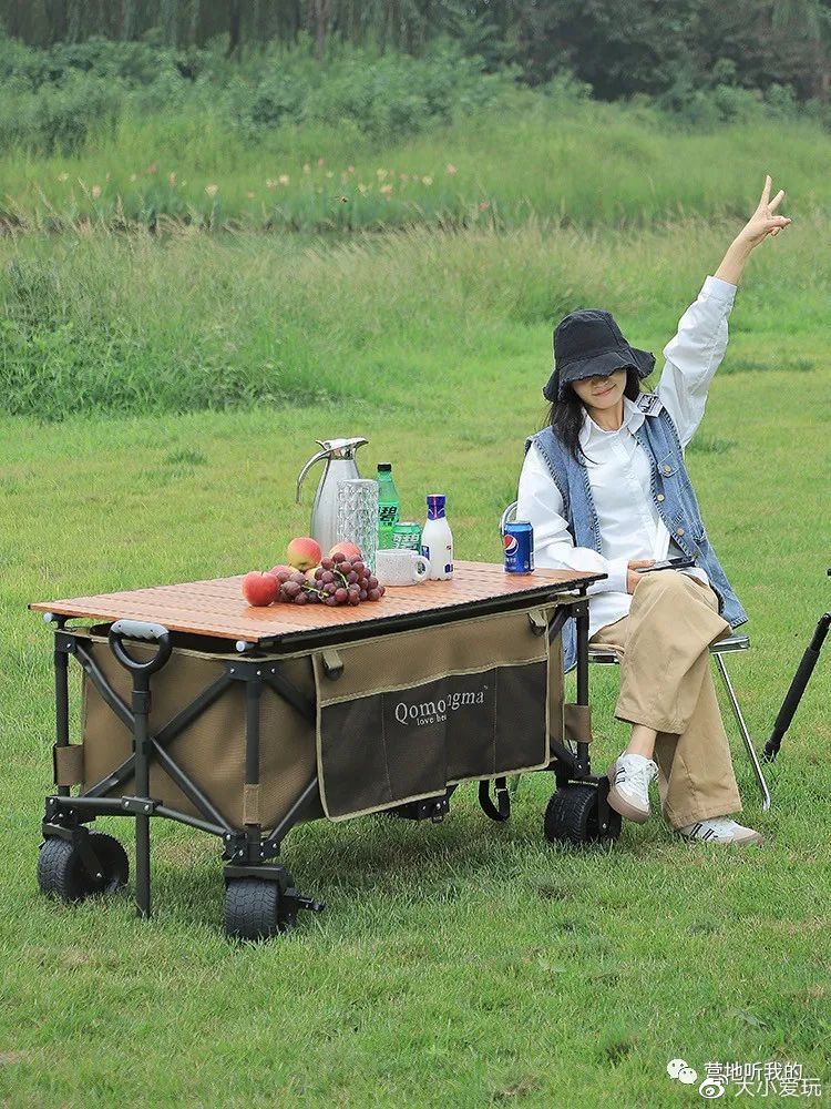 纠结买两百多的云台还是九百多的,纠结买不买野餐帐篷