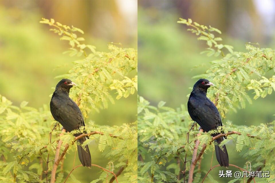 照片怎么校准皮肤白平衡,后期照片白平衡