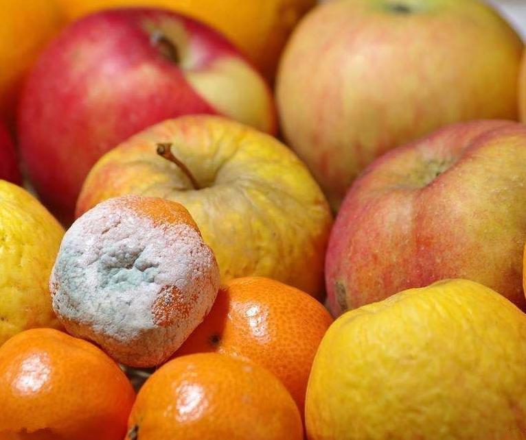 四种蔬菜被列入致癌名单,哪些蔬菜是致癌菜