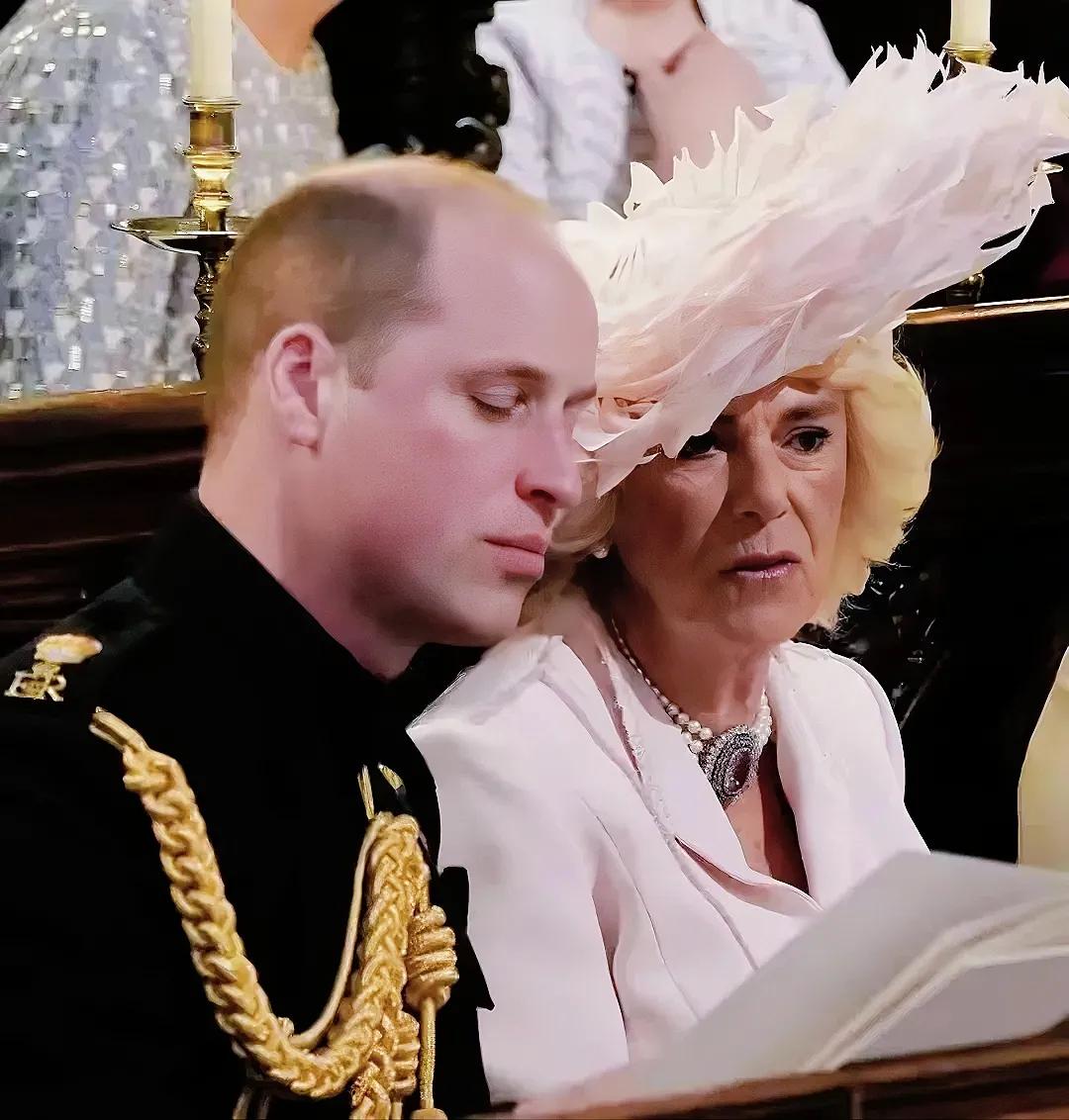 英国皇室宫廷机构,英国皇室管理哪些国家