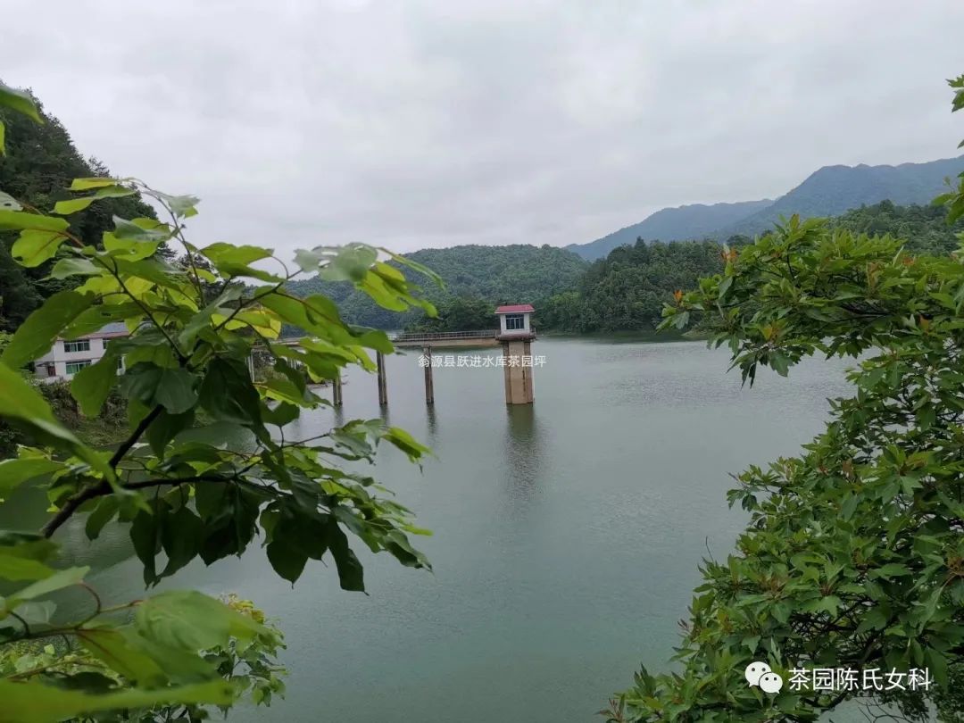 假的月经是什么样的,来月经是真的还是假的