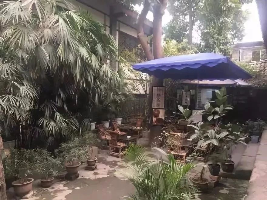 鏂囧湥鑼惰瘽,鏂囪儨鑼惰