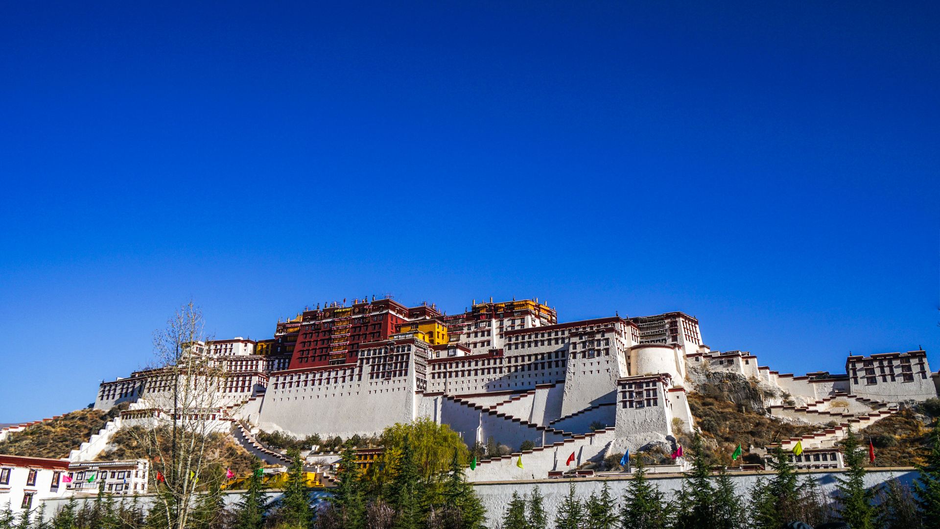 布达拉宫免费游玩时间,布达拉宫旅游免票攻略