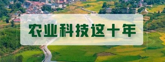 农业科技这十年丨冯佰利：深耕小杂粮成就品牌“天下知”