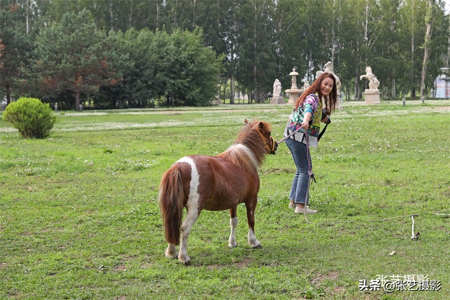 哈尔滨伏尔加庄园20℃避暑胜地，不出国门感受俄罗斯异域风情