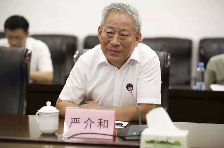 江苏首富严介和现状,江苏省首富严介和