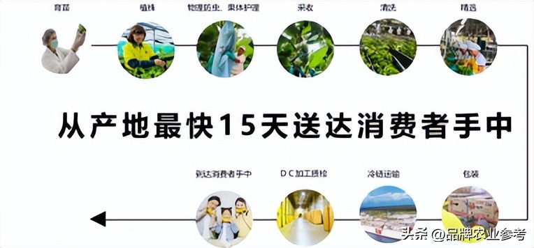 一根香蕉价值15万美金,一根香蕉卖40块钱