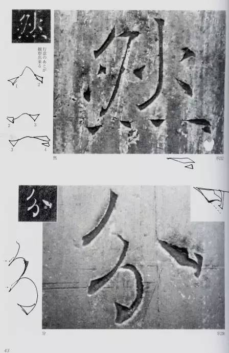 宸ョ瑪鐢绘潹鏅箟鐢诲唽,鏉滈箖鏉ㄦ櫘涔夊畬鏁寸増