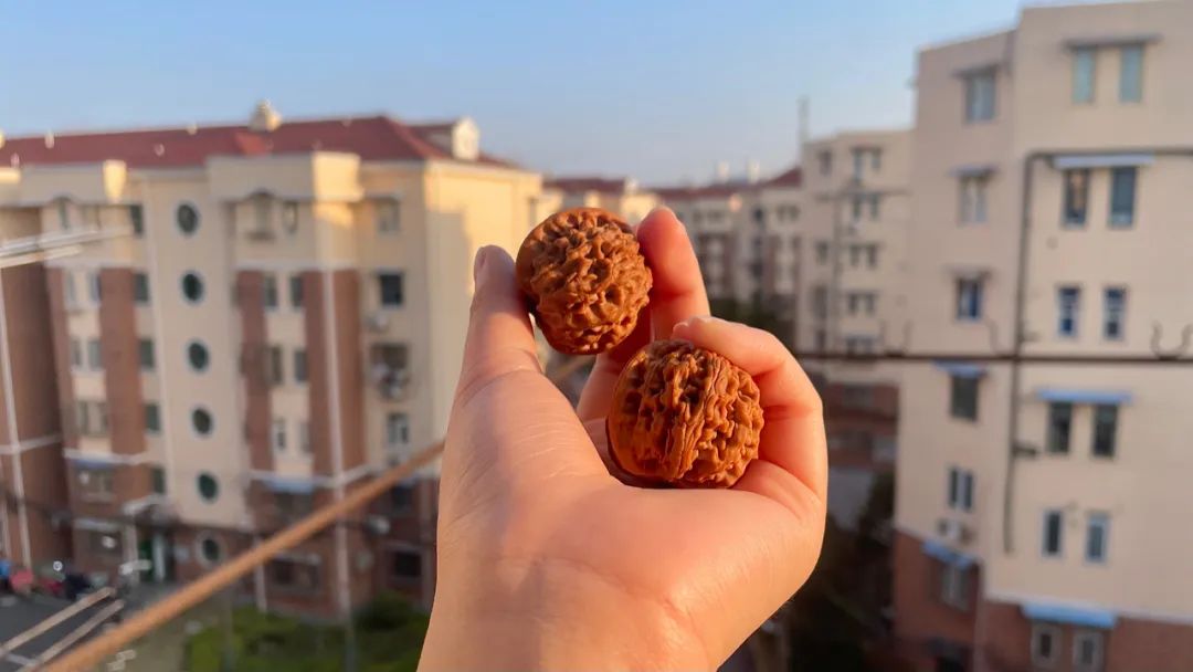 封控80天、先后经历三轮隔离，没有这些东西我根本熬不到解封