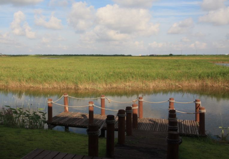 上海东滩湿地公园,上海东滩湿地公园旅游攻略