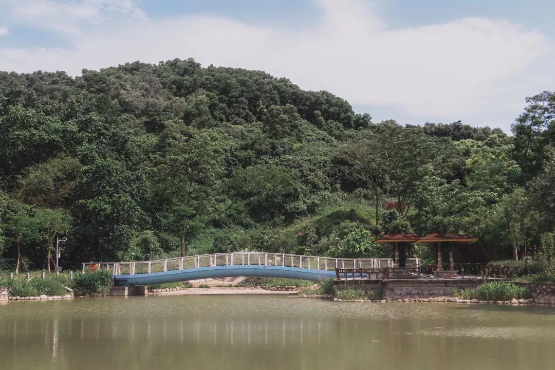 深圳最值得爬的景点,深圳十大最值得爬的山