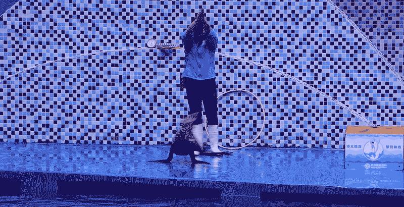 滨州海底世界5.1演出时间表,滨州海底世界39.9团购票