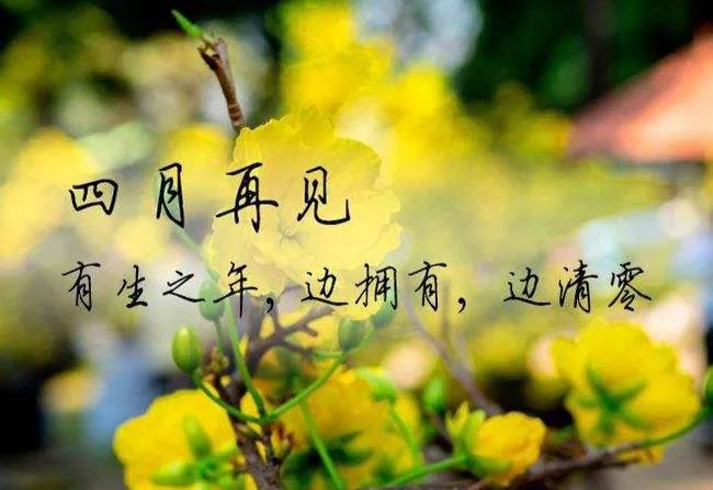 四月再见五月你好愿一切美好加倍,四月再见五月你好愿美好如约而至