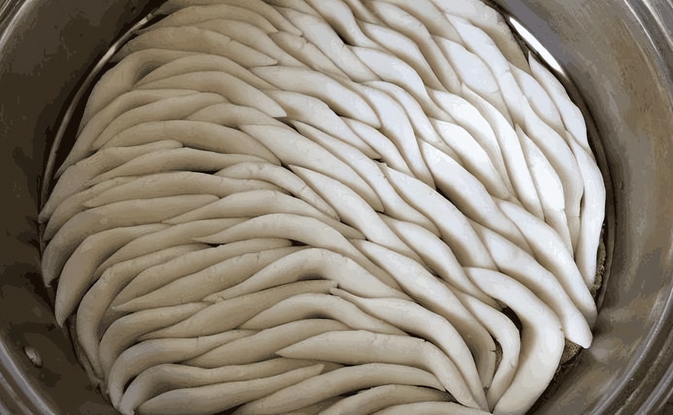 河北省张家口市是什么地区,河北省张家口市