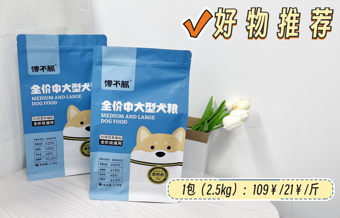 哪个品种的狗狗又好养又乖巧懂事,建议新手养的10种便宜狗狗不掉毛