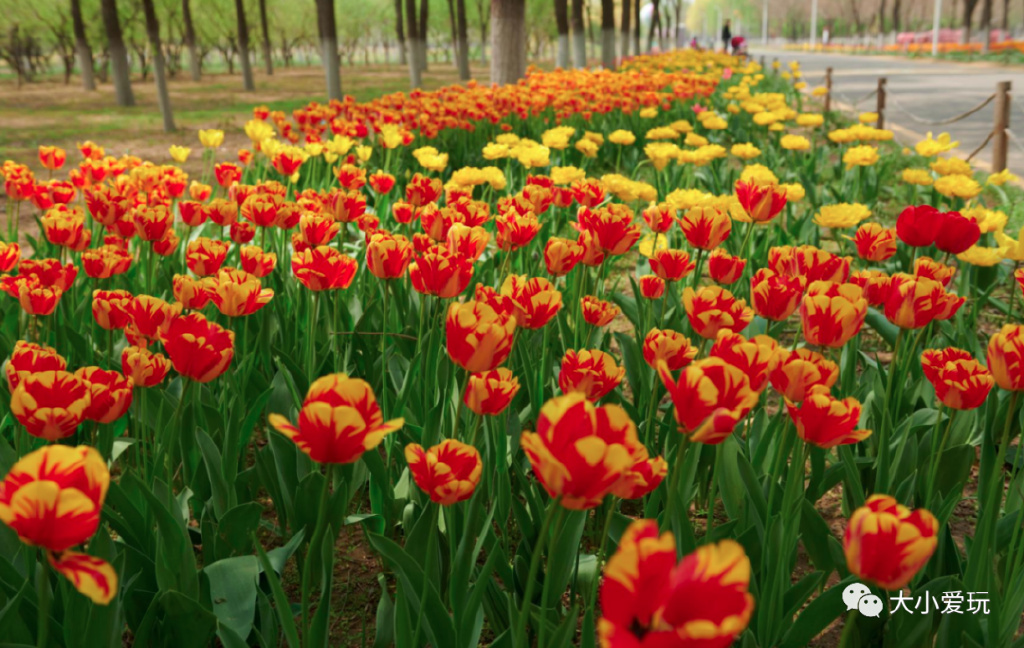 周末来袭快看看可以游玩的好去处 (游玩攻略这些地方你一定要看一看)