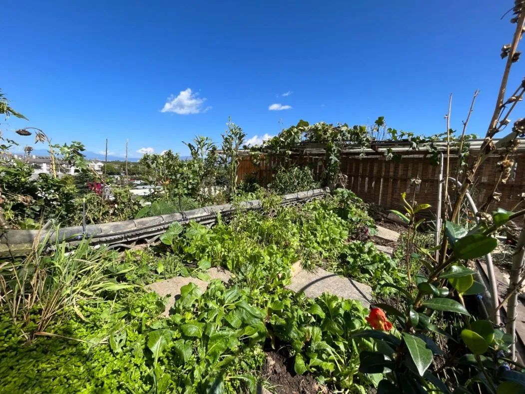 食物故事纪录片,食物故事大全完整版