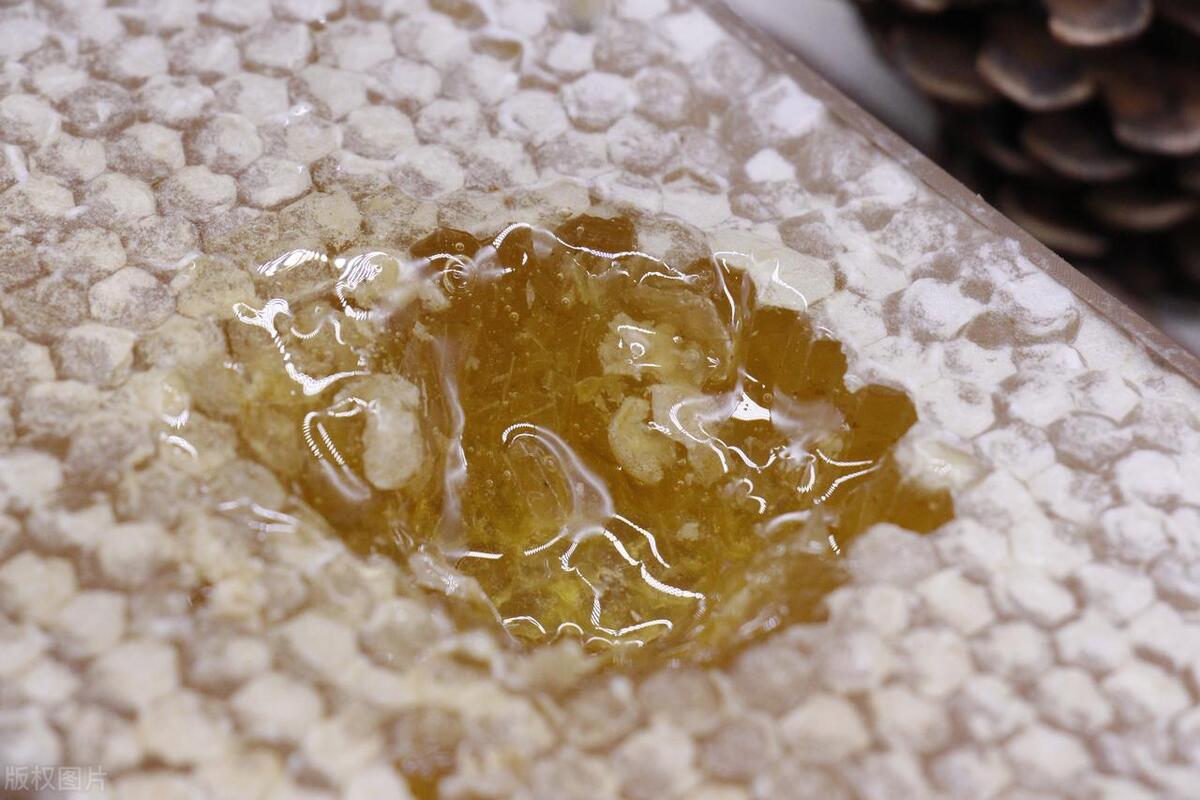 怎样分辨俄罗斯蜂蜜真假,黑枸杞蜂蜜怎么分辨真假