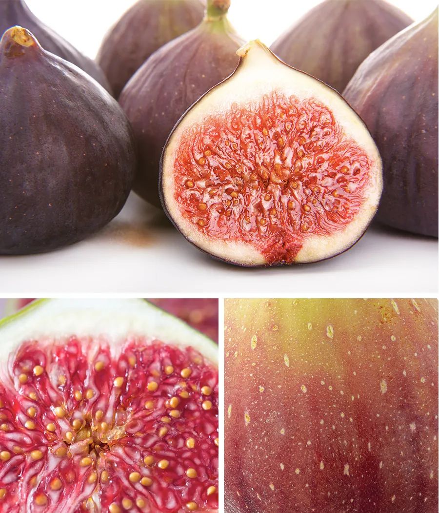 6-12岁儿童油画棒画教程,油画棒水彩结合作品儿童画