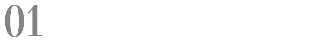 打造宠物门店第四大动销品，「再三」推出除毛洗衣凝珠