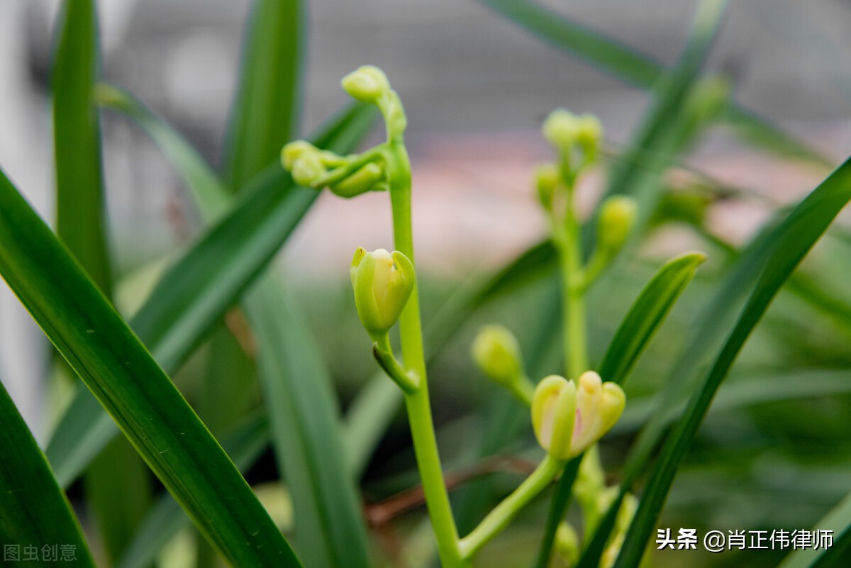 网贷管辖权异议申请,管辖权异议法律条文