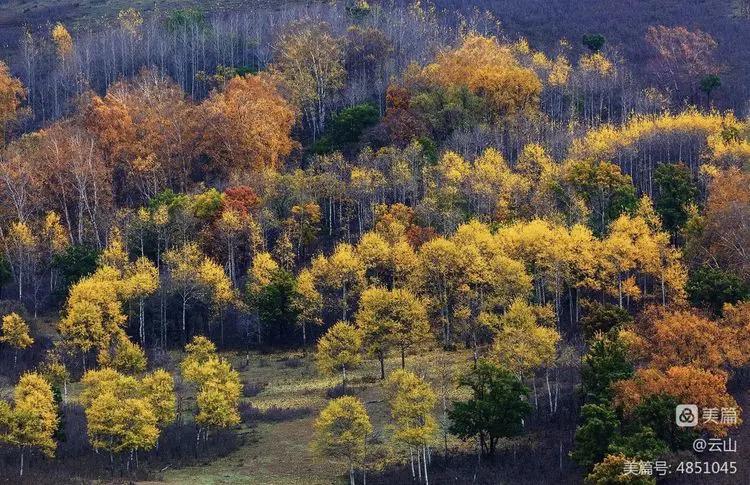 画意风光,画意风光摄影