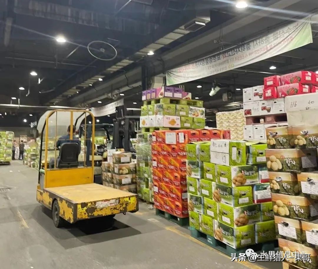 中国十大果蔬批发市场,全国十大蔬果批发市场