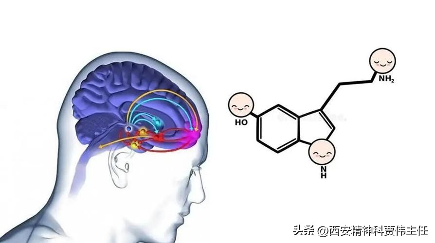 多巴胺分泌后会进入低谷情绪低落,多巴胺低和情绪有关吗