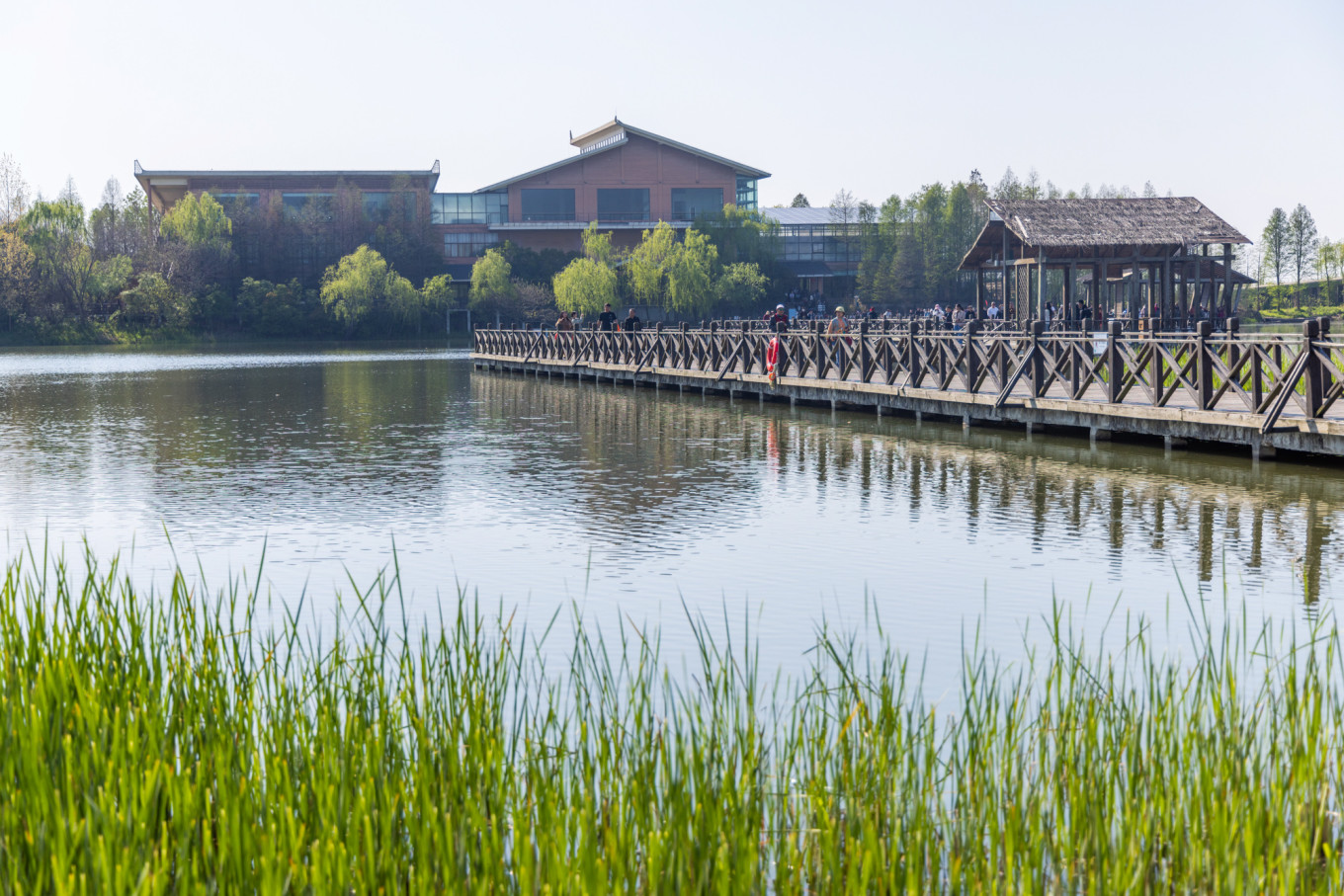 春日下江南杭州,泰州一日游攻略美食