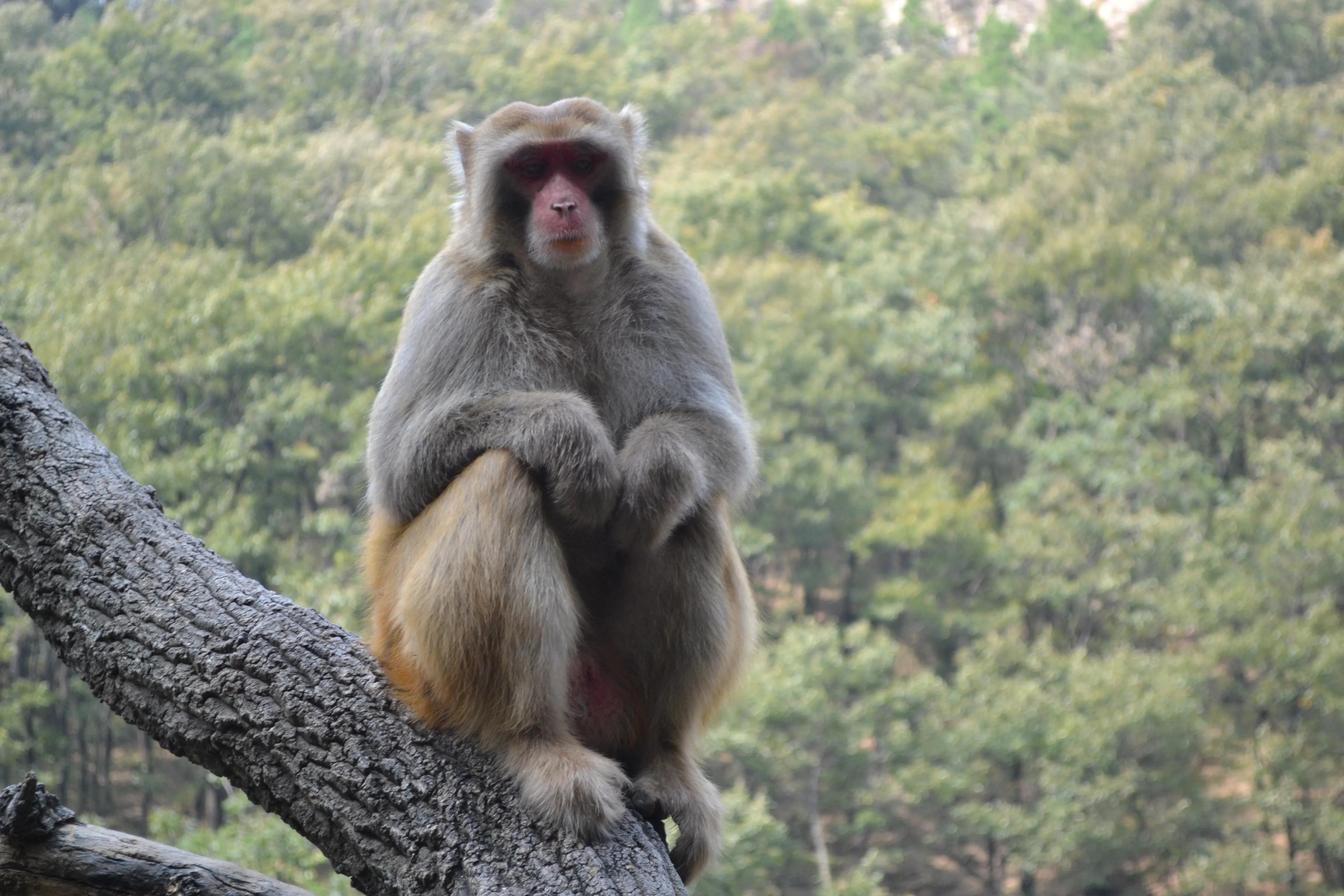 我的驴行日记——山西晋城蟒河