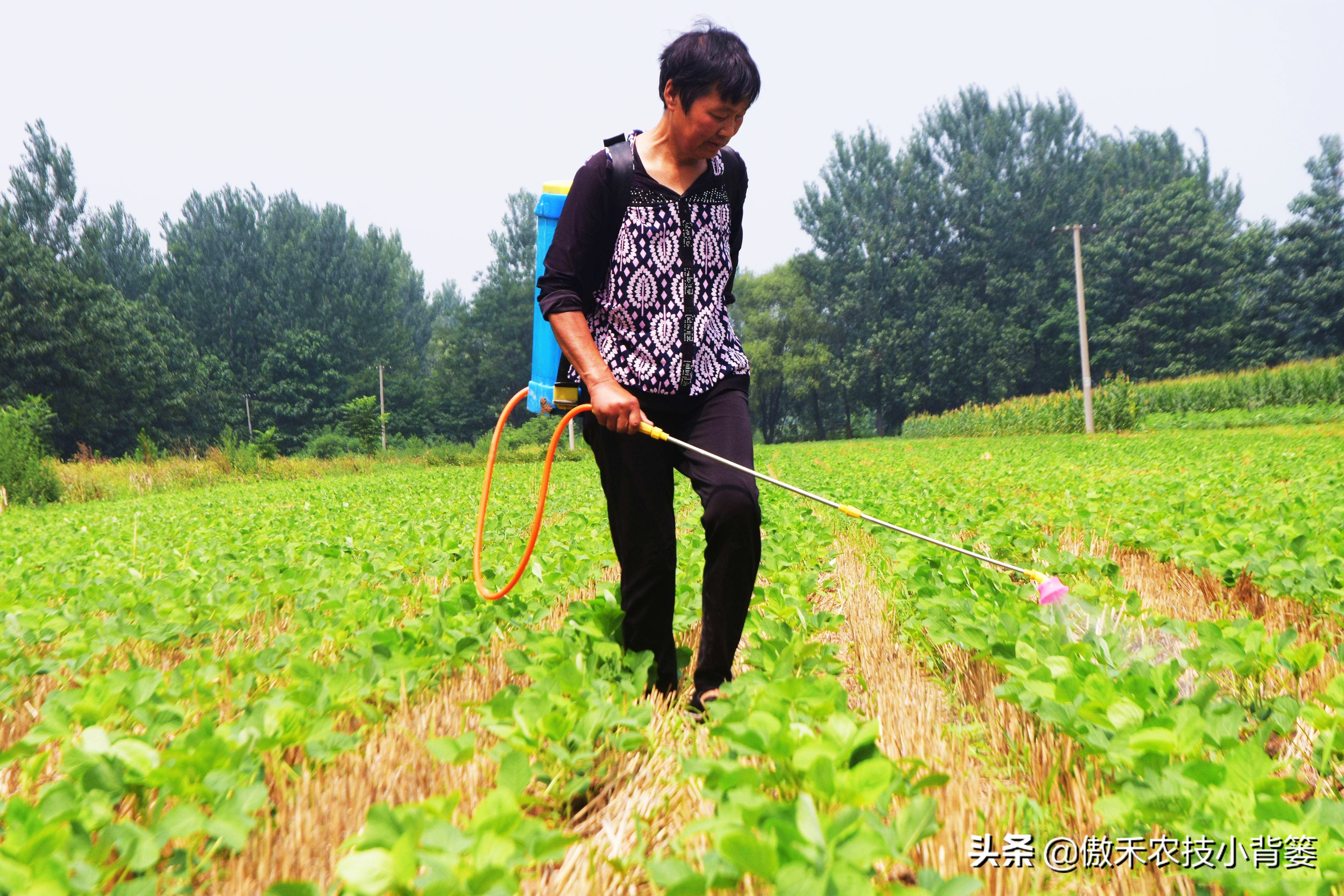 杀虫剂吡虫啉好还是啶虫脒好,杀虫剂吡虫啉的特性及使用方法