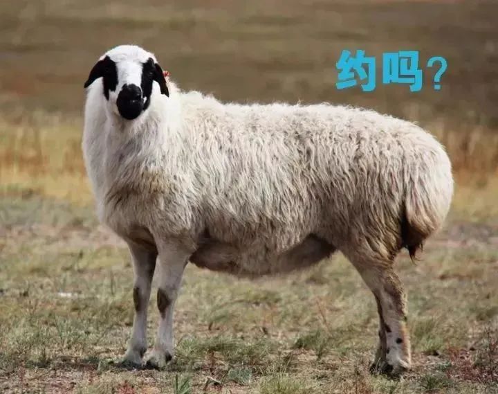 你不知道的中国内蒙古,你还不知道的内蒙古