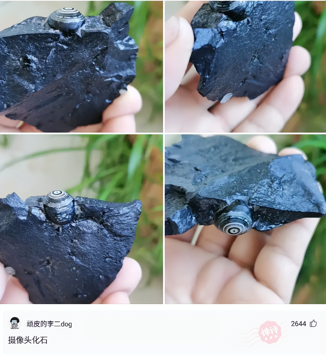 这就是李某和李女士的区别，现在连“马赛克”都开始区分颜值了