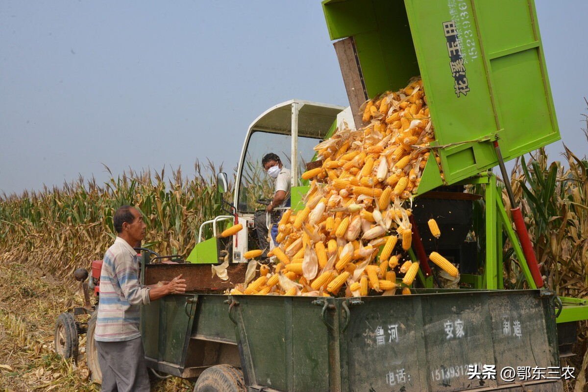 立秋后雨多有什么说法,立秋有雨有什么预兆