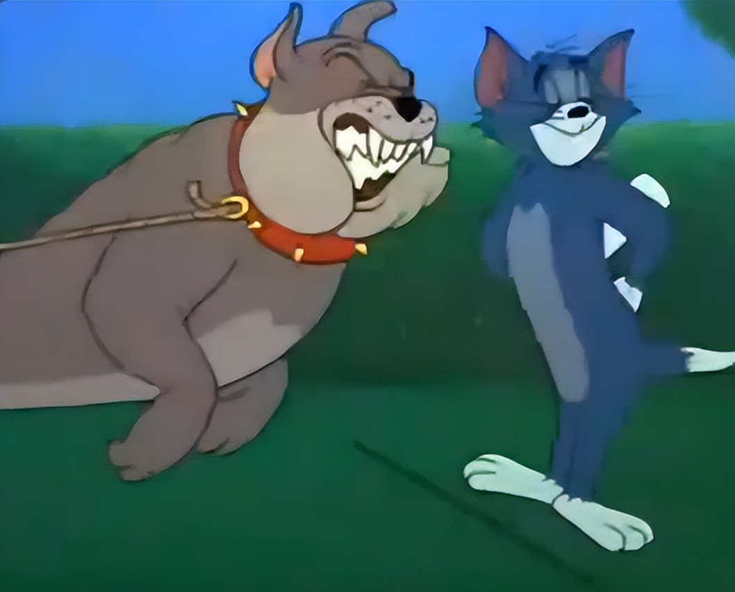 被小动物咬伤你会怎么做,被小动物咬伤怎么办呢