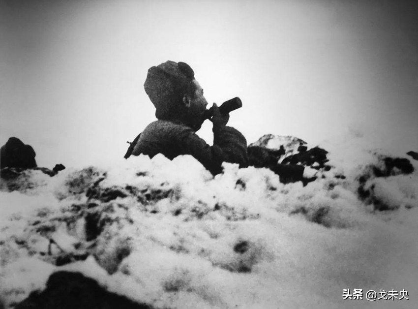 围歼北极熊团敌我伤亡,围歼北极熊团用了多少兵力啊