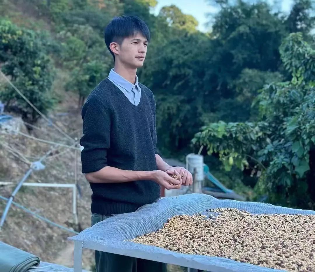 春天里的保山：连锁品牌、线上平台与返乡青年如何改变保山咖啡