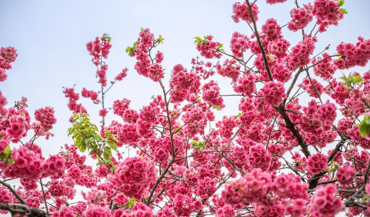 如何解读两性思维差异,如何了解两性思维差异