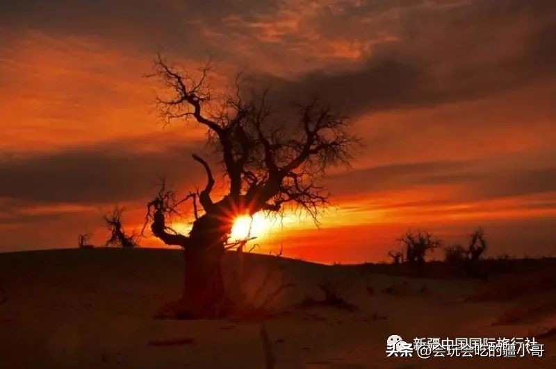 2023国内最适合秋游的地方！退休必看、人少实惠！去了就不想回家