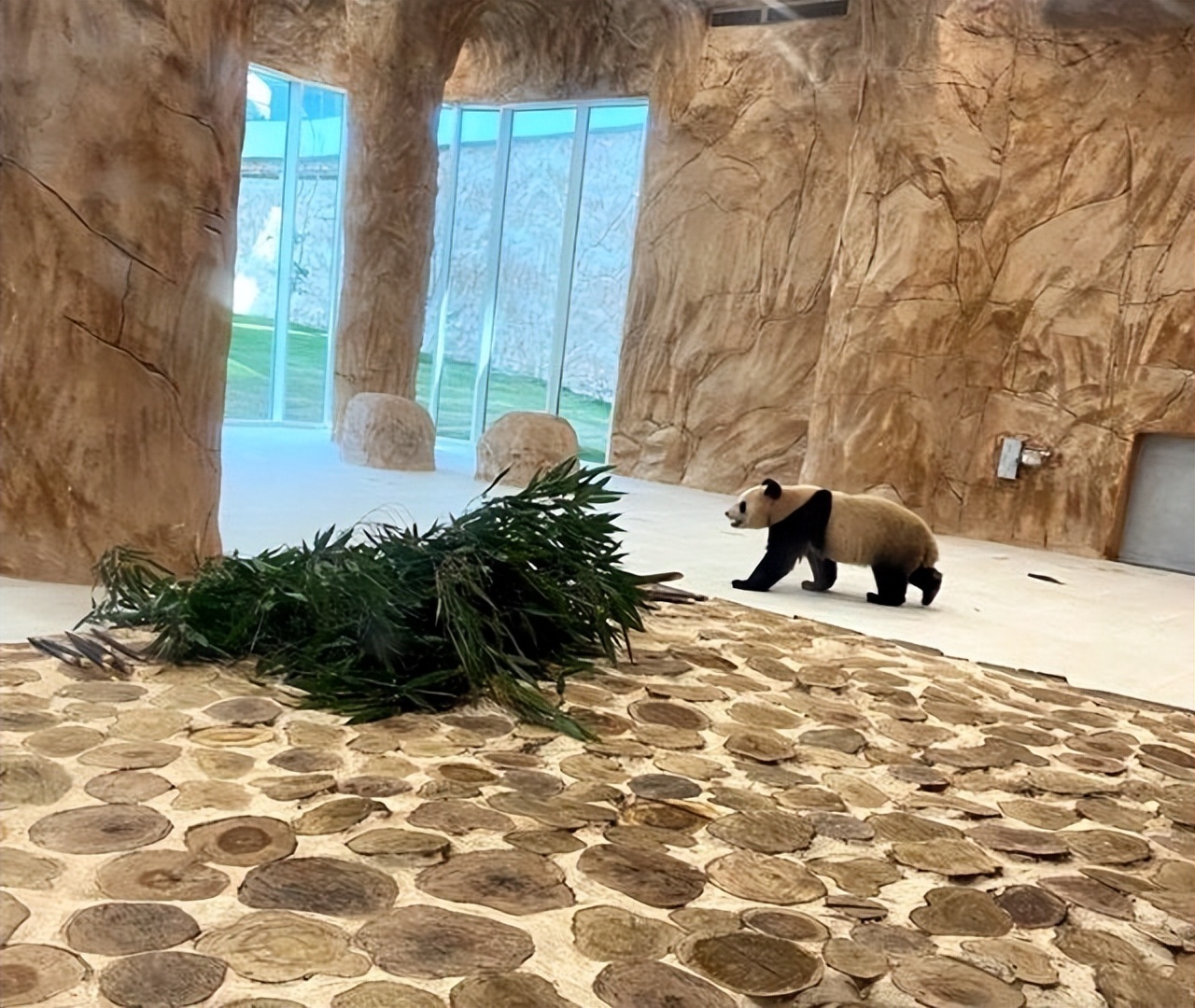 卡塔尔世界杯的中国元素英文,卡塔尔世界杯的中国元素主题画