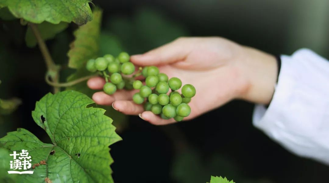 如果有人不喜欢你无需翻脸,发现有人不喜欢你无需翻脸