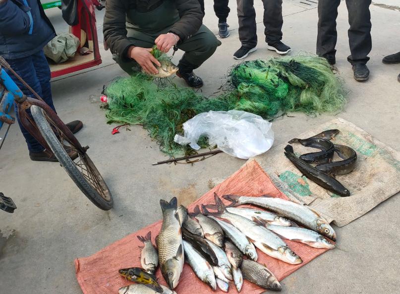 老婆从菜市场买回鱼,农贸市场野生鲫鱼