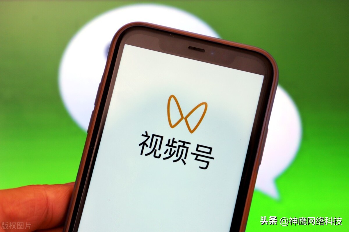 个人信息成为摇钱树,手机号注册了摇钱树