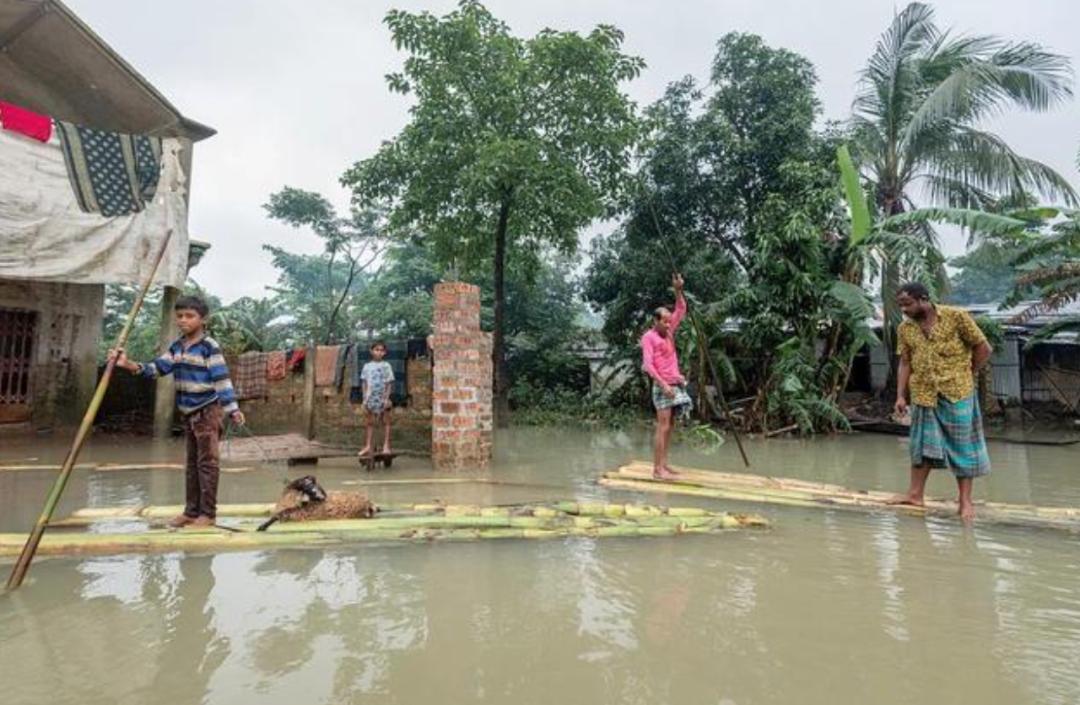 极端高温,灾难的开始…该如何拯救