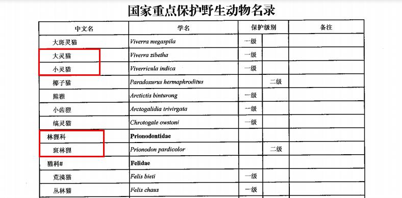 狸猫天生会捉老鼠吗,狸猫会不会抓老鼠